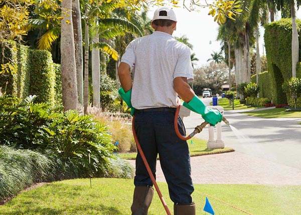 About Bee Branch AR Pest Control Pros